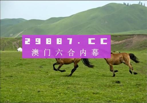 澳门跑狗,全面解答解释落实_OP45.847