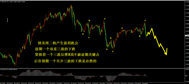 闻播 第206页