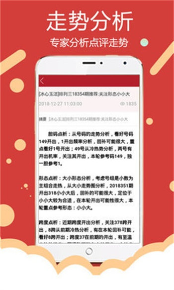 新澳最新版资料心水,细致研究执行策略_迅捷款2.04